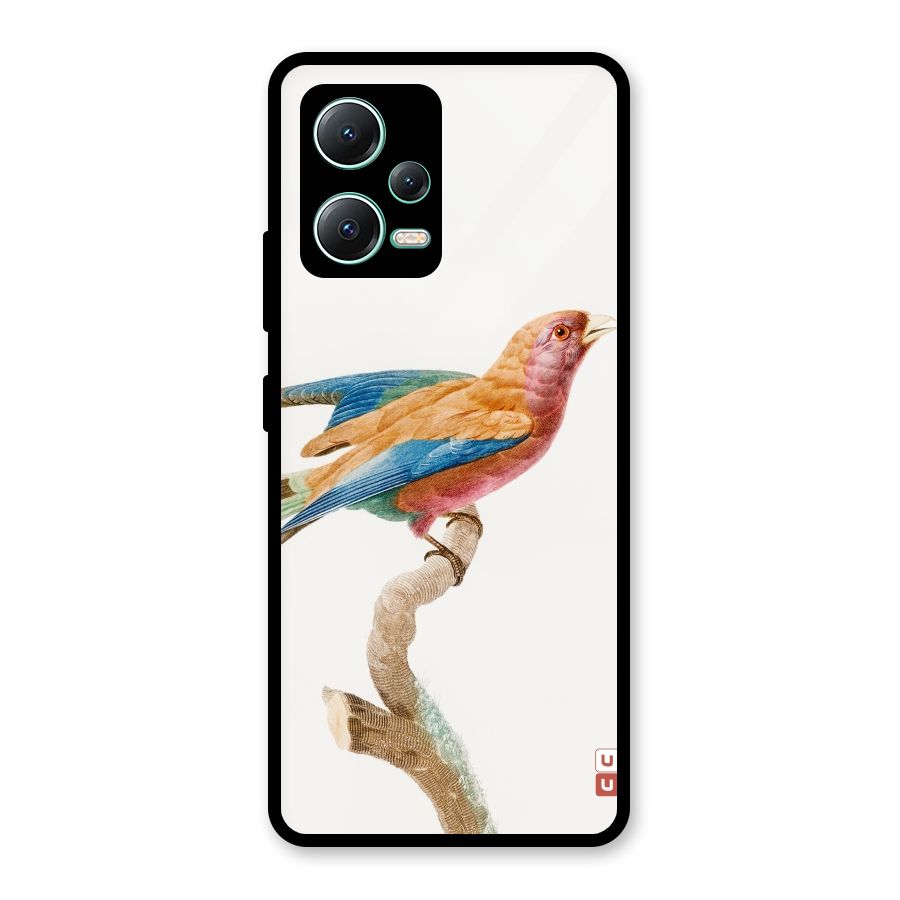 Beautiful Bird Glass Back Case for Redmi Note 12 5G