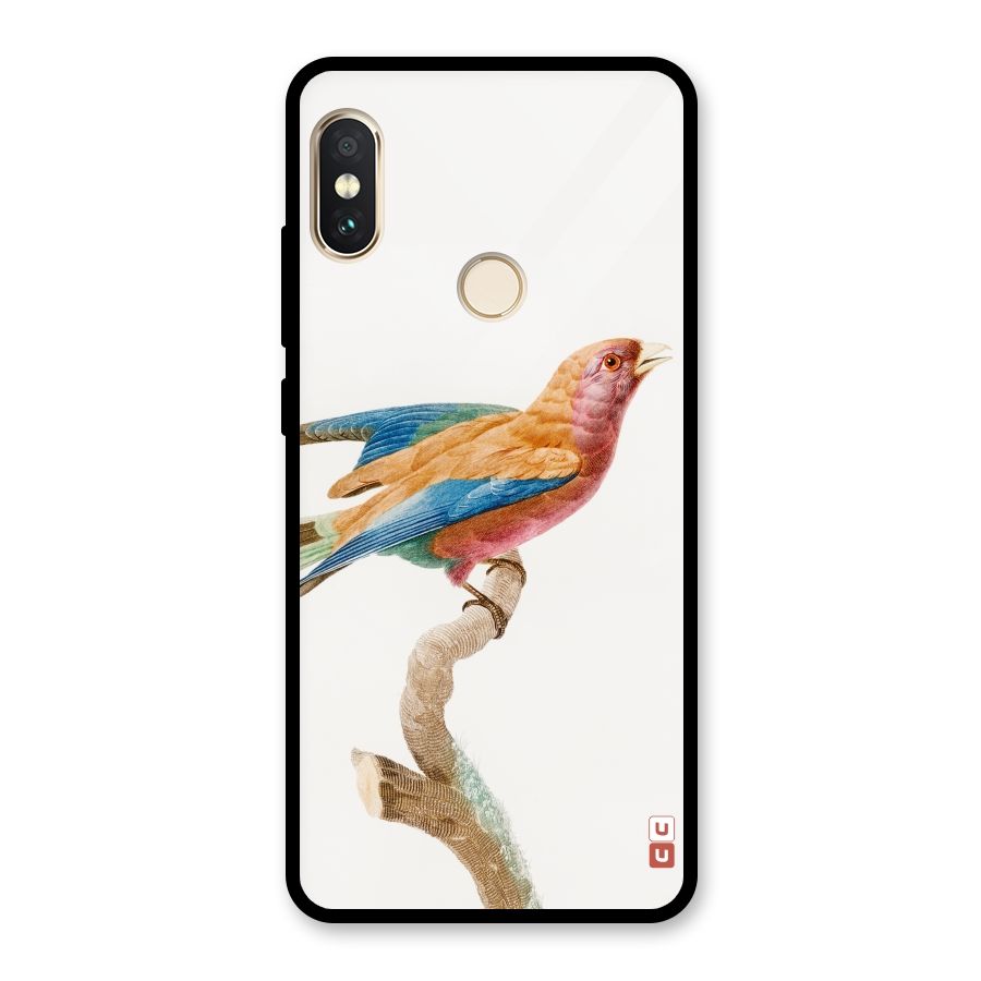 Beautiful Bird Glass Back Case for Redmi Note 5 Pro