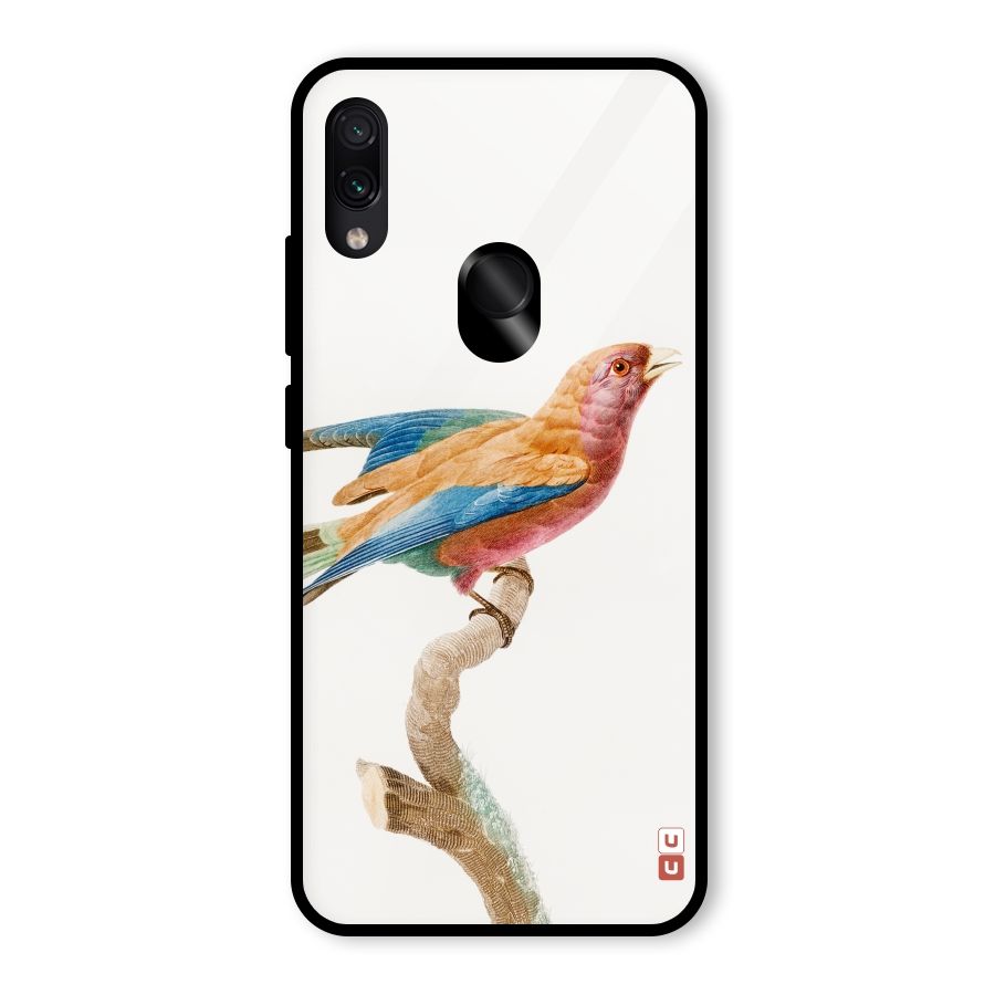 Beautiful Bird Glass Back Case for Redmi Note 7 Pro
