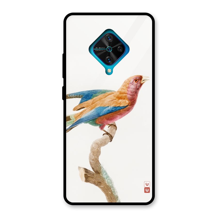 Beautiful Bird Glass Back Case for Vivo S1 Pro