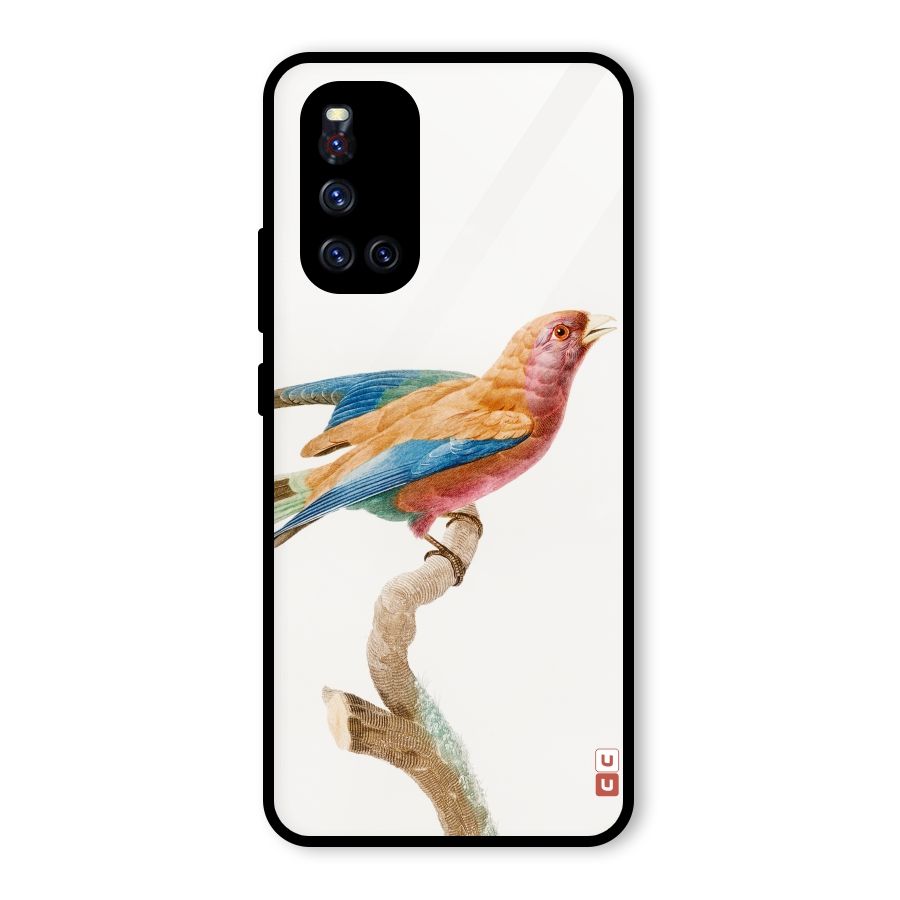 Beautiful Bird Glass Back Case for Vivo V19