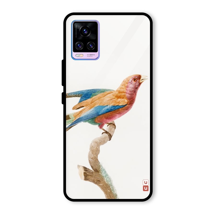Beautiful Bird Glass Back Case for Vivo V20 Pro