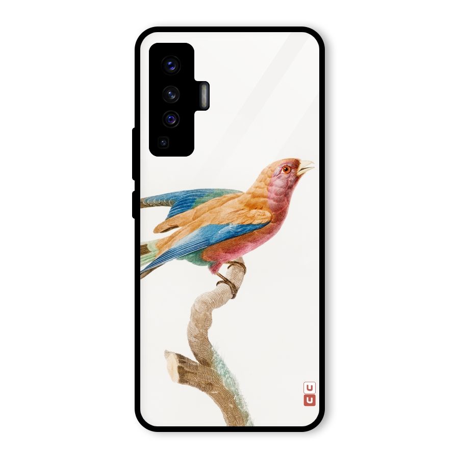 Beautiful Bird Glass Back Case for Vivo X50