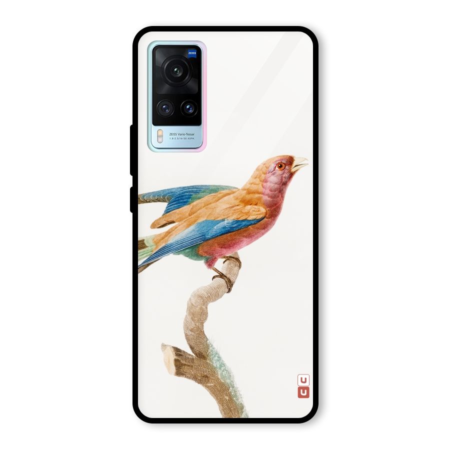 Beautiful Bird Glass Back Case for Vivo X60