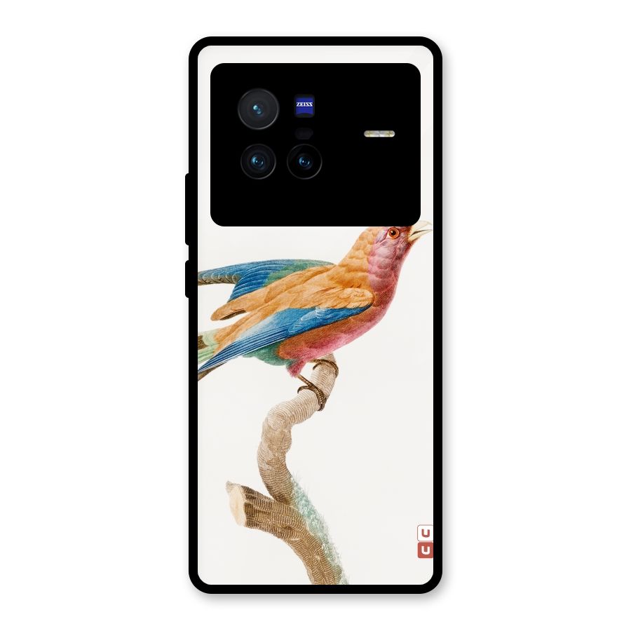 Beautiful Bird Glass Back Case for Vivo X80