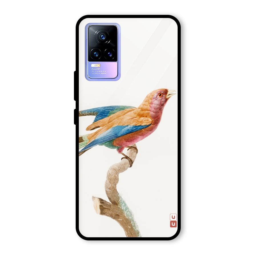 Beautiful Bird Glass Back Case for Vivo Y73