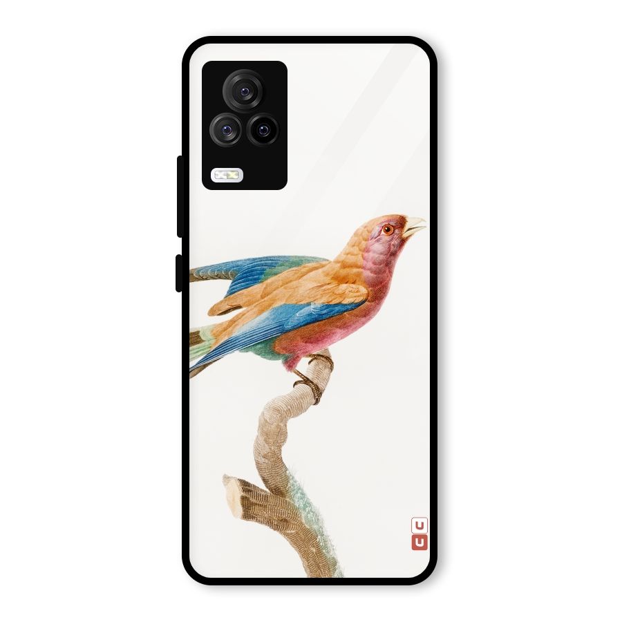 Beautiful Bird Glass Back Case for Vivo iQOO 7 Legend 5G