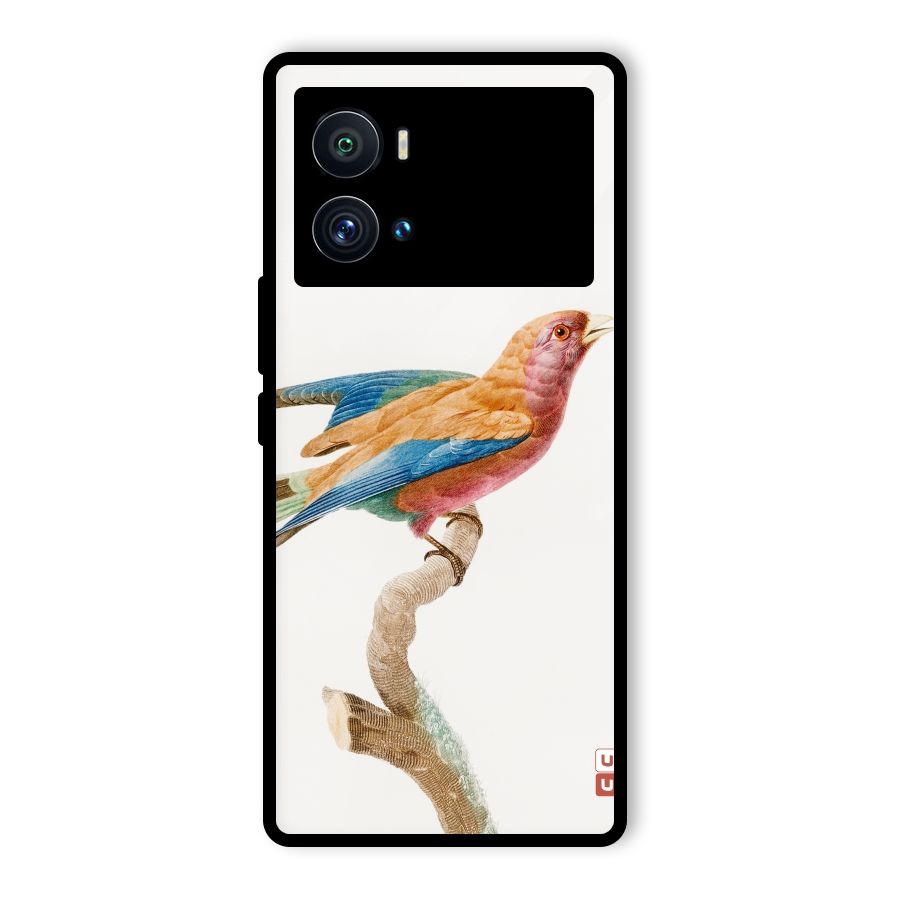 Beautiful Bird Glass Back Case for Vivo iQOO 9 Pro
