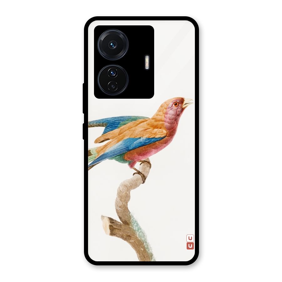 Beautiful Bird Glass Back Case for Vivo iQOO Z6 Pro