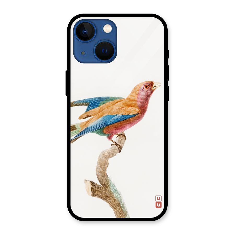 Beautiful Bird Glass Back Case for iPhone 13 Mini