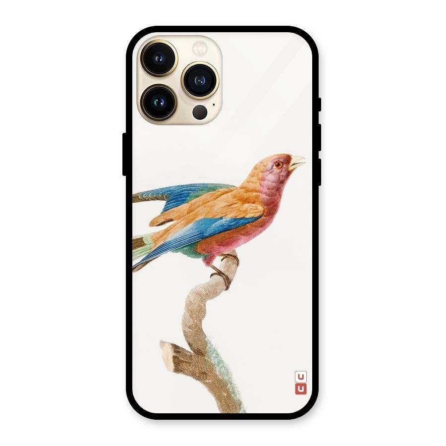 Beautiful Bird Glass Back Case for iPhone 13 Pro Max