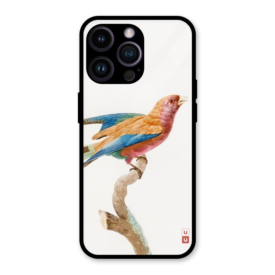 Beautiful Bird Glass Back Case for iPhone 14 Pro Max