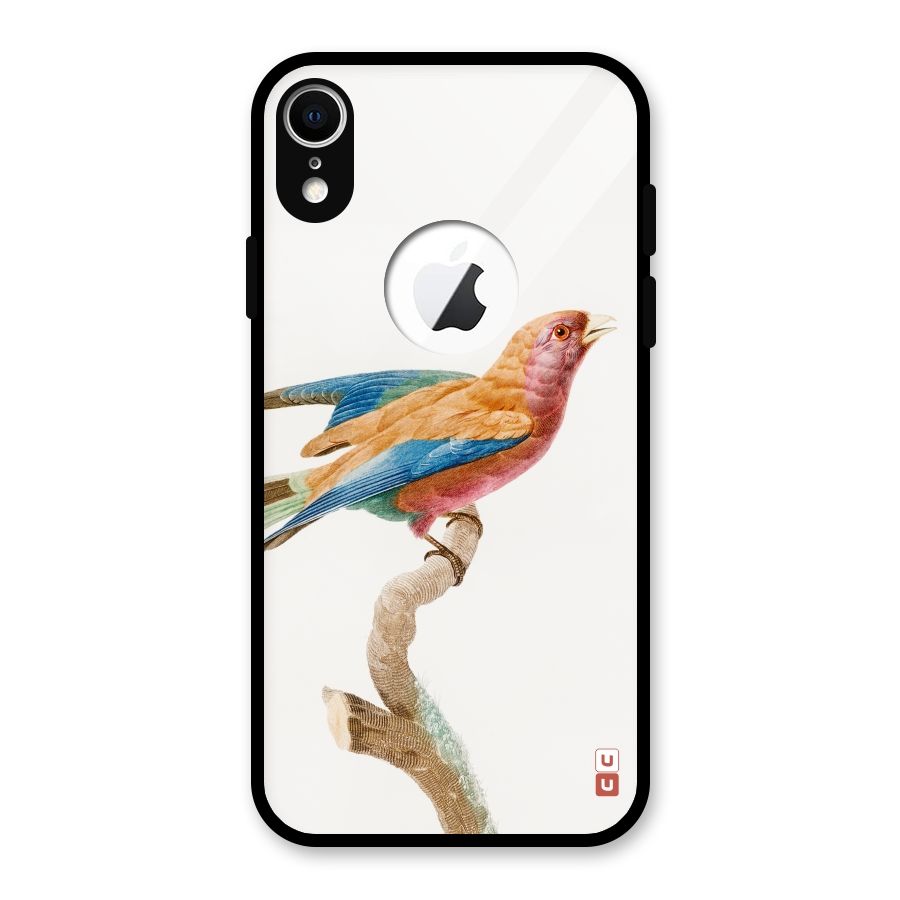 Beautiful Bird Glass Back Case for iPhone XR Logo Cut