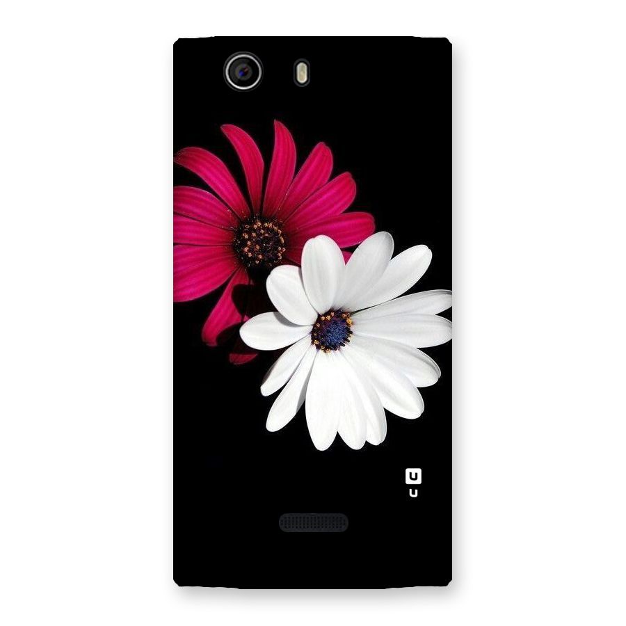 Beautiful Blooming Back Case for Canvas Nitro 2 E311