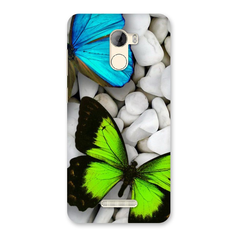 Beautiful Butterflies Back Case for Gionee A1 LIte