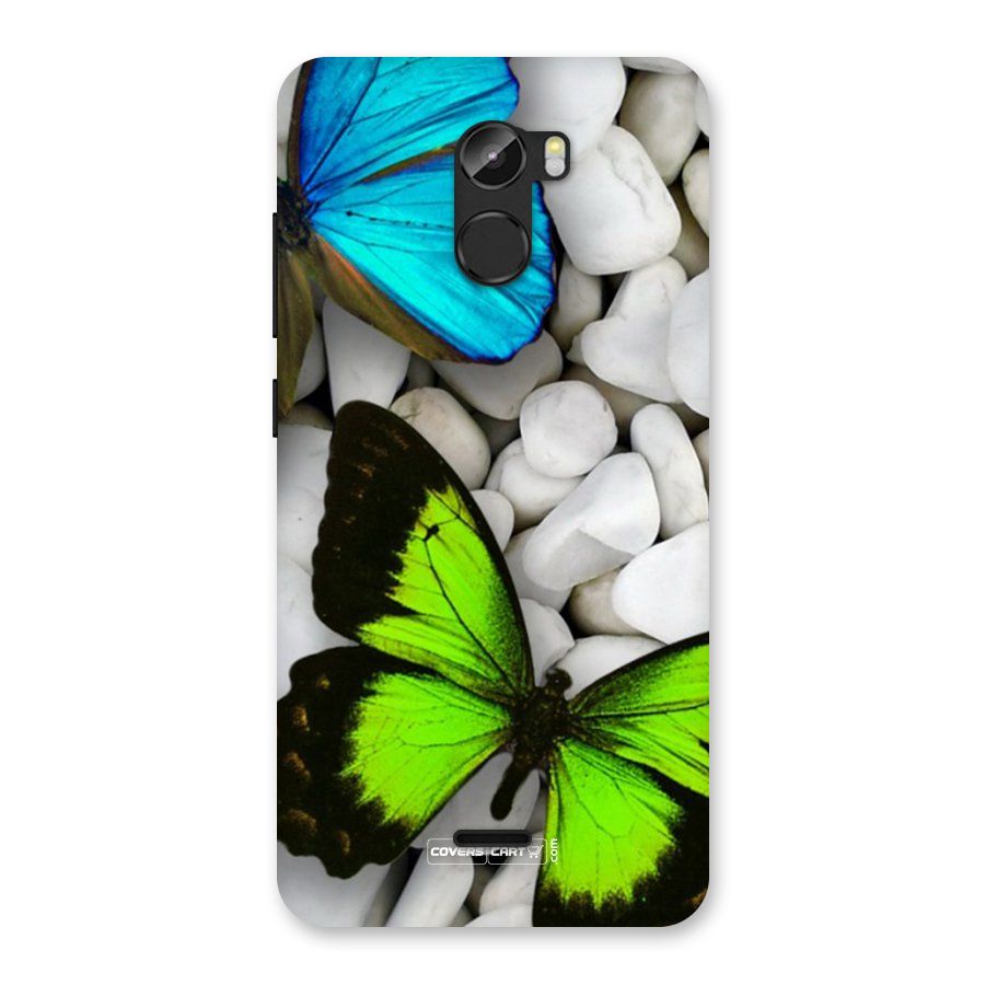 Beautiful Butterflies Back Case for Gionee X1