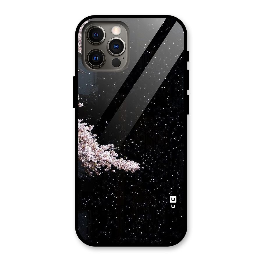 Beautiful Night Sky Flowers Glass Back Case for iPhone 12 Pro