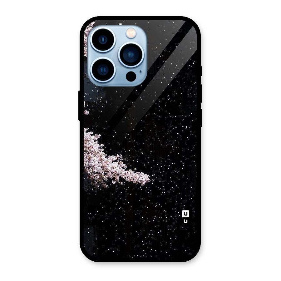 Beautiful Night Sky Flowers Glass Back Case for iPhone 13 Pro