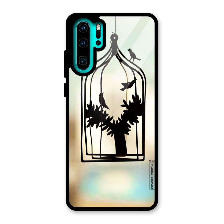 Beautiful Pegion Cage Glass Back Case for Huawei P30 Pro