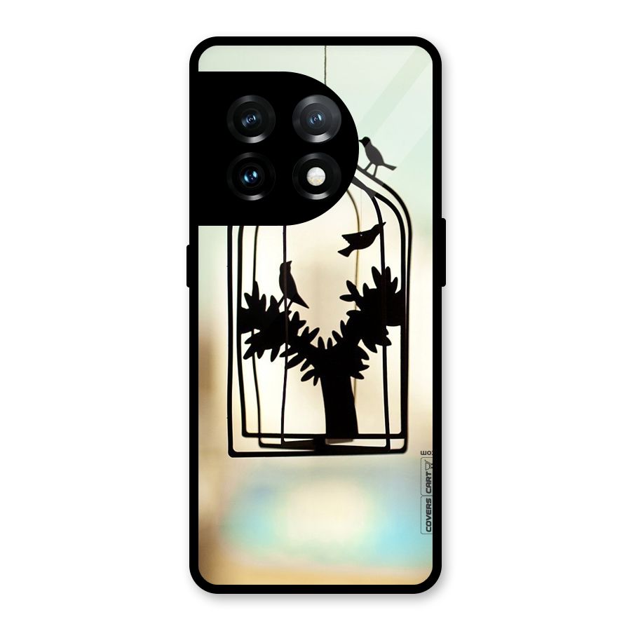 Beautiful Pegion Cage Glass Back Case for OnePlus 11