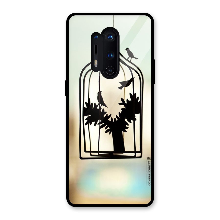 Beautiful Pegion Cage Glass Back Case for OnePlus 8 Pro
