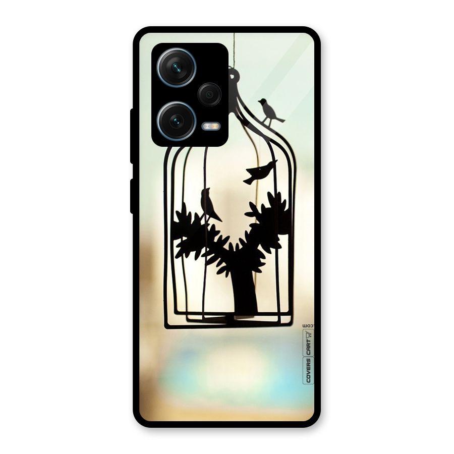 Beautiful Pegion Cage Glass Back Case for Redmi Note 12 Pro Plus 5G