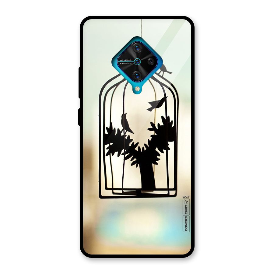 Beautiful Pegion Cage Glass Back Case for Vivo S1 Pro