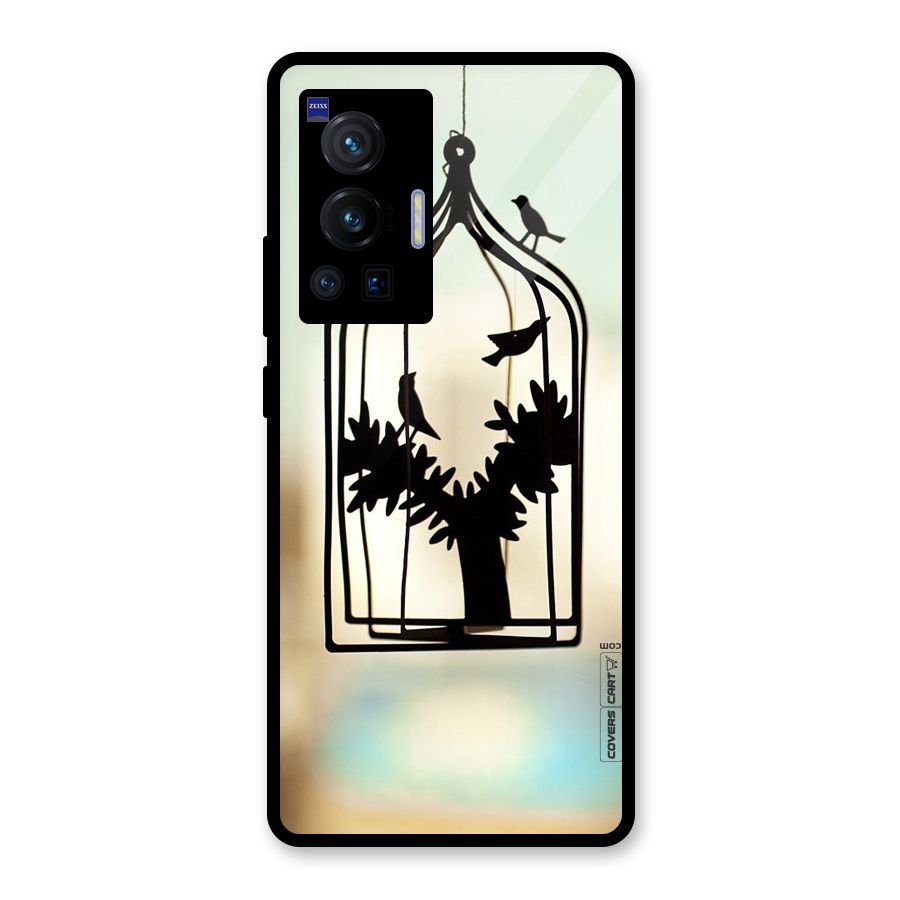 Beautiful Pegion Cage Glass Back Case for Vivo X70 Pro