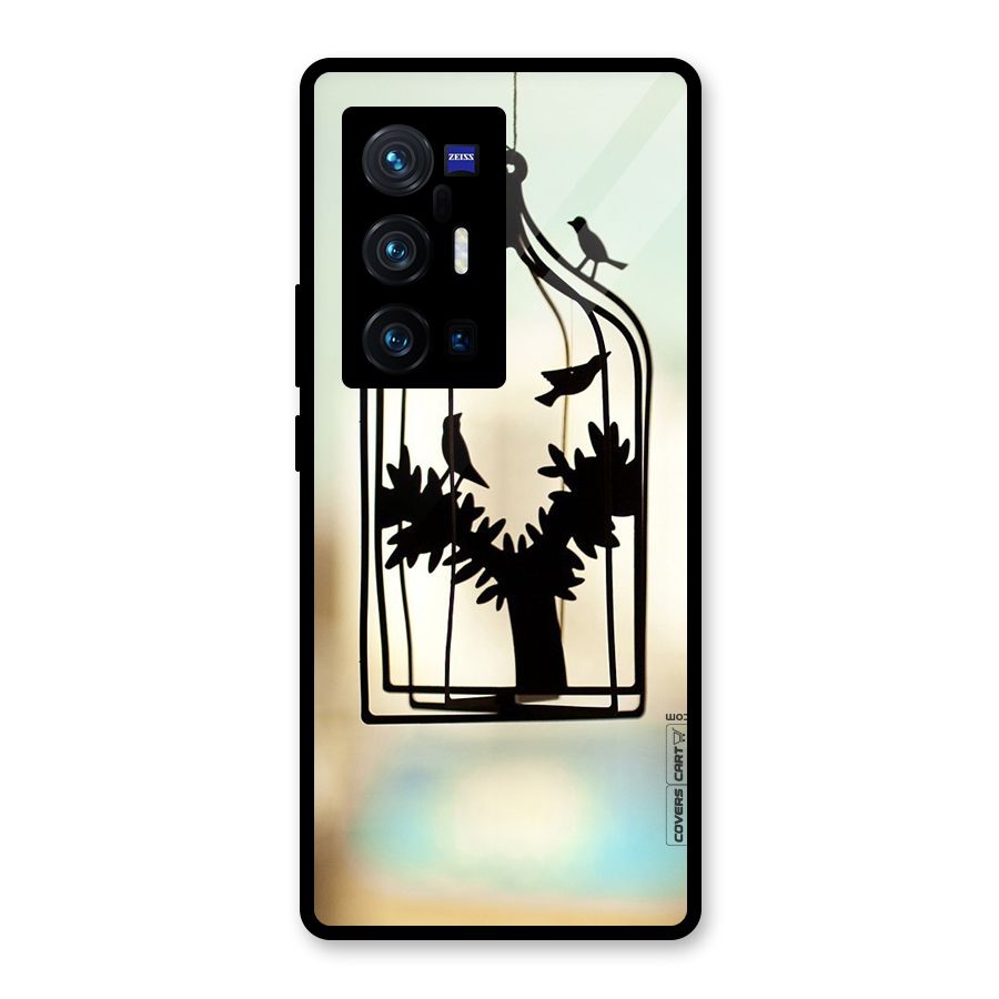 Beautiful Pegion Cage Glass Back Case for Vivo X70 Pro Plus