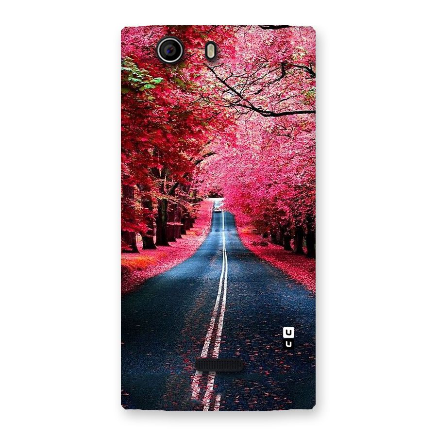 Beautiful Red Trees Back Case for Canvas Nitro 2 E311