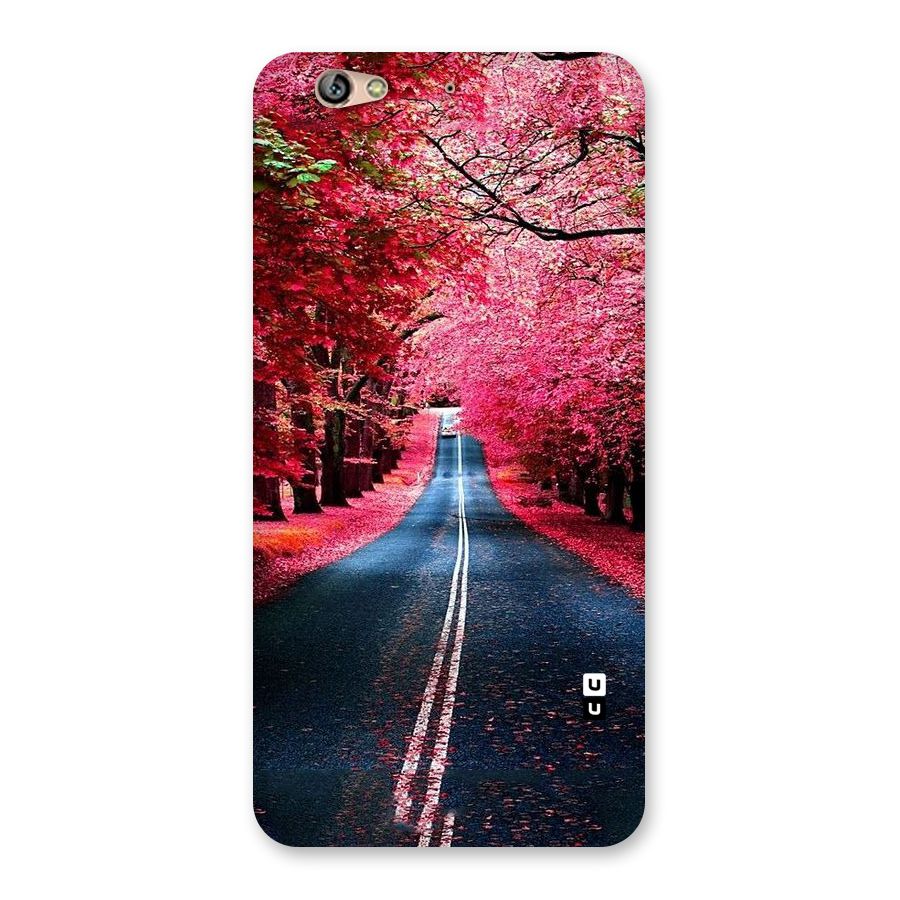 Beautiful Red Trees Back Case for Gionee S6