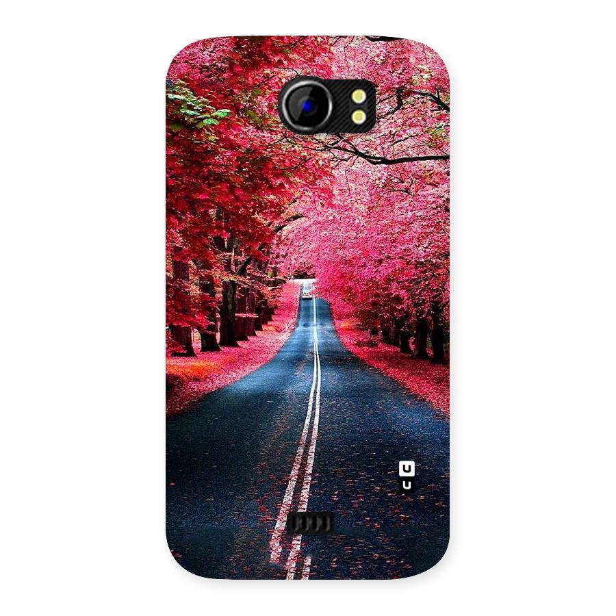 Beautiful Red Trees Back Case for Micromax Canvas 2 A110