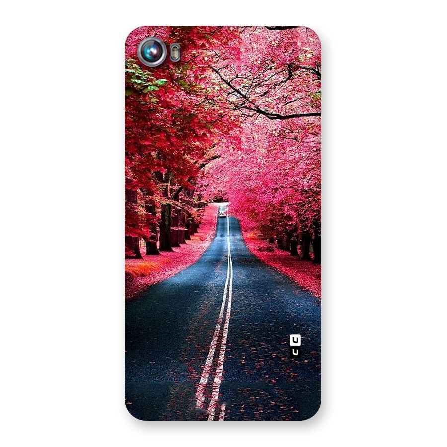 Beautiful Red Trees Back Case for Micromax Canvas Fire 4 A107
