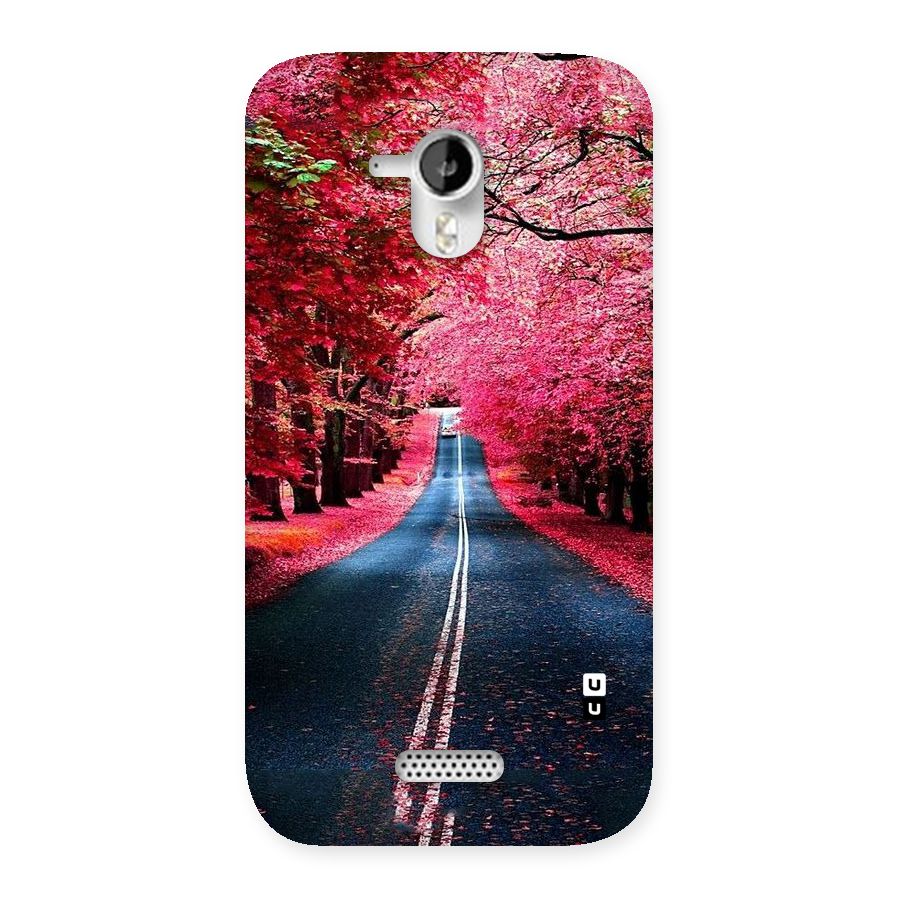Beautiful Red Trees Back Case for Micromax Canvas HD A116