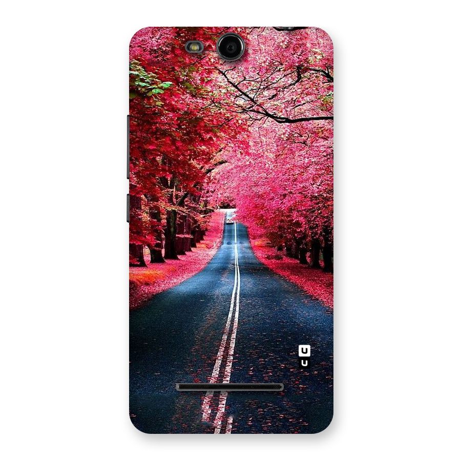 Beautiful Red Trees Back Case for Micromax Canvas Juice 3 Q392
