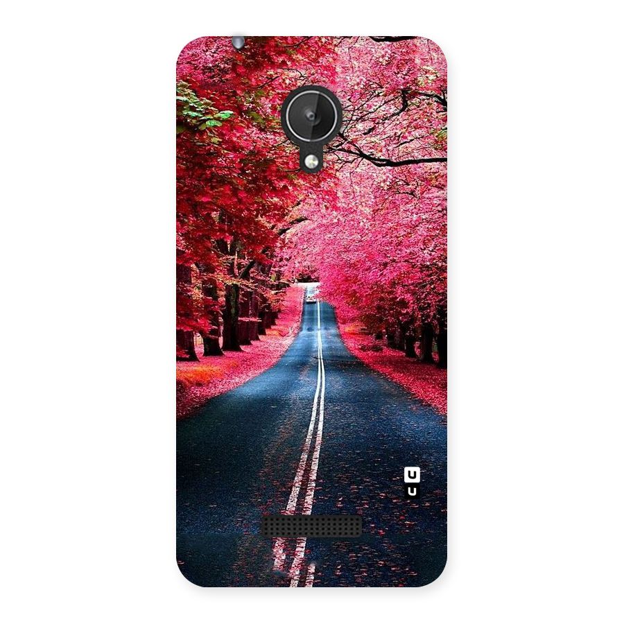 Beautiful Red Trees Back Case for Micromax Canvas Spark Q380