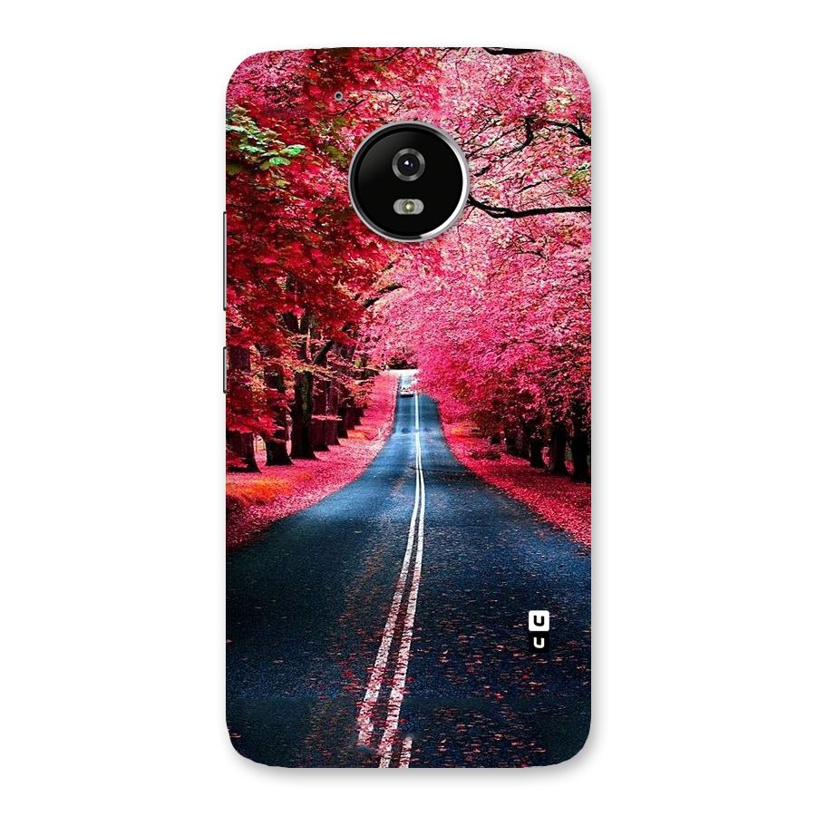 Beautiful Red Trees Back Case for Moto G5