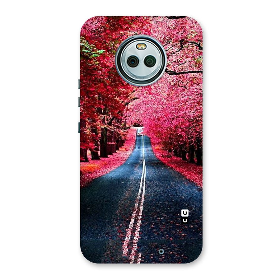 Beautiful Red Trees Back Case for Moto X4