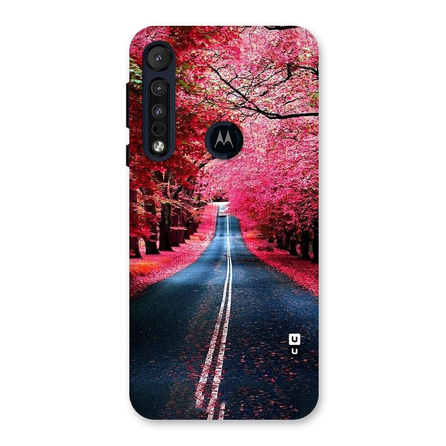 Beautiful Red Trees Back Case for Motorola One Macro
