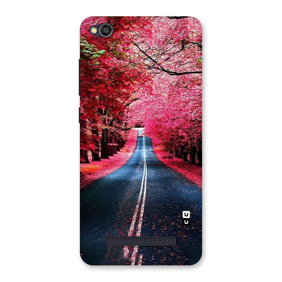 Beautiful Red Trees Back Case for Redmi 4A