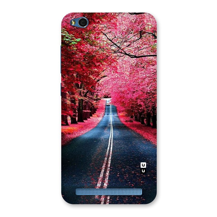 Beautiful Red Trees Back Case for Redmi 5A