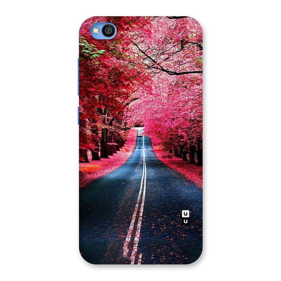Beautiful Red Trees Back Case for Redmi Go