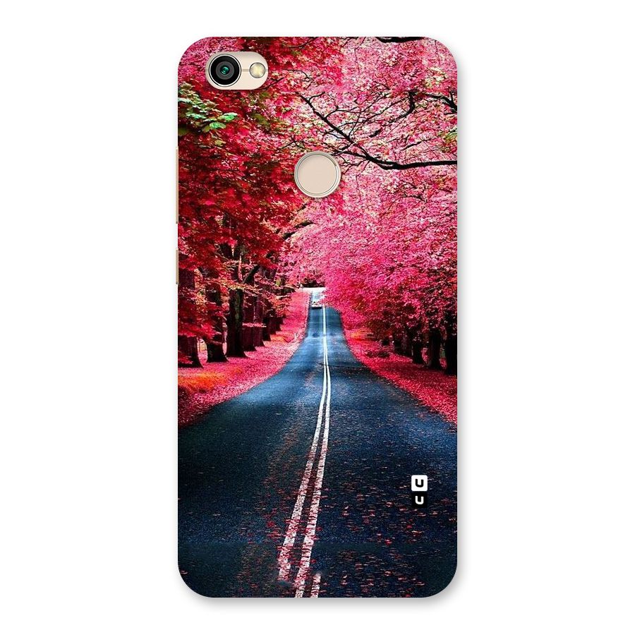 Beautiful Red Trees Back Case for Redmi Y1 2017