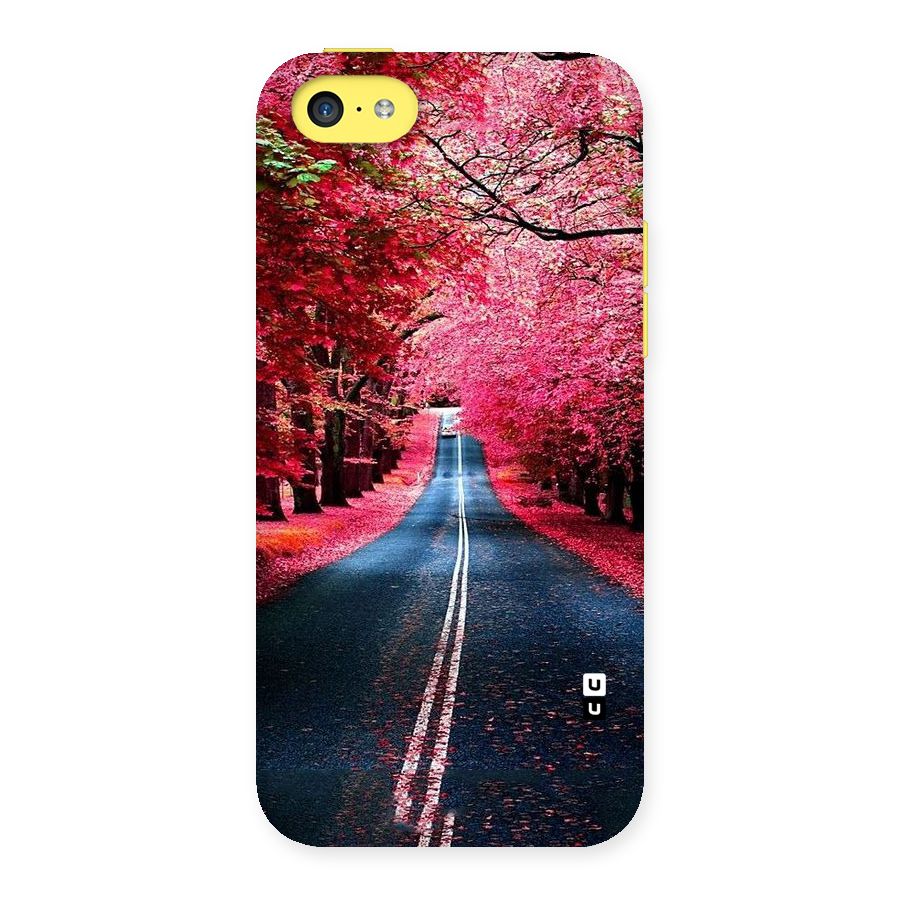 Beautiful Red Trees Back Case for iPhone 5C