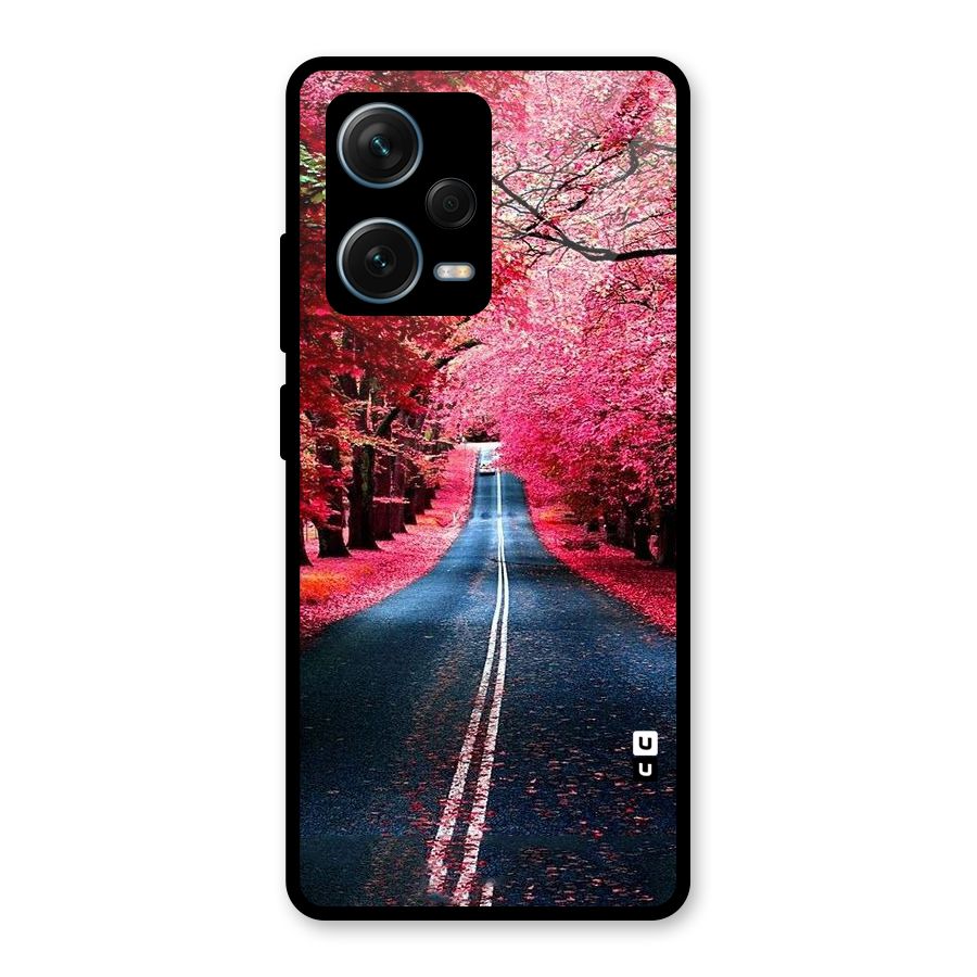Beautiful Red Trees Glass Back Case for Redmi Note 12 Pro Plus 5G