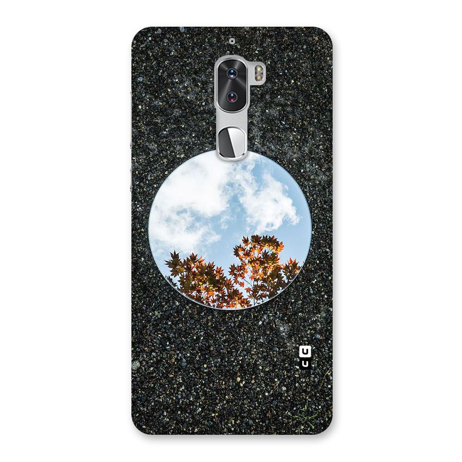 Beautiful Sky Leaves Back Case for Coolpad Cool 1