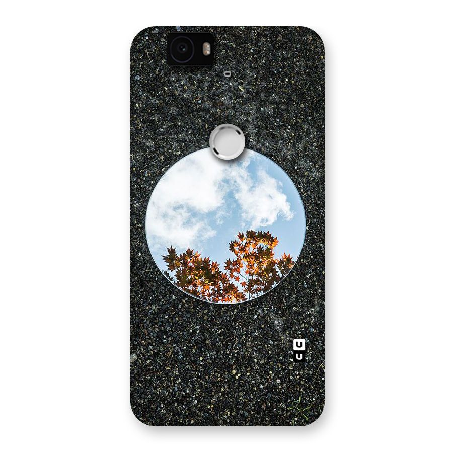 Beautiful Sky Leaves Back Case for Google Nexus-6P