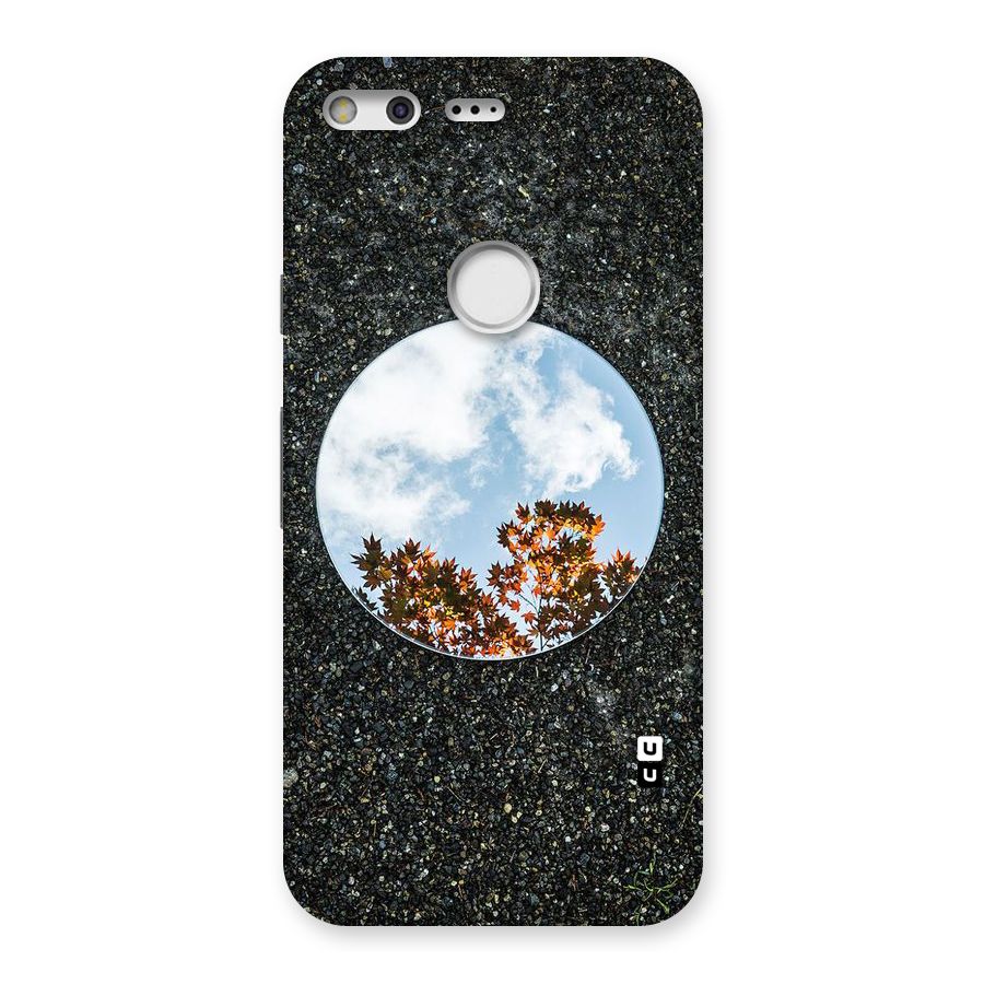 Beautiful Sky Leaves Back Case for Google Pixel