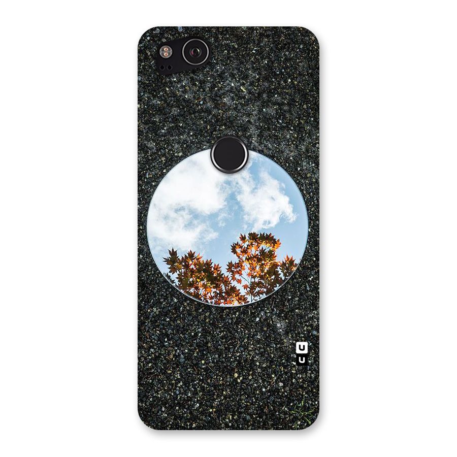 Beautiful Sky Leaves Back Case for Google Pixel 2