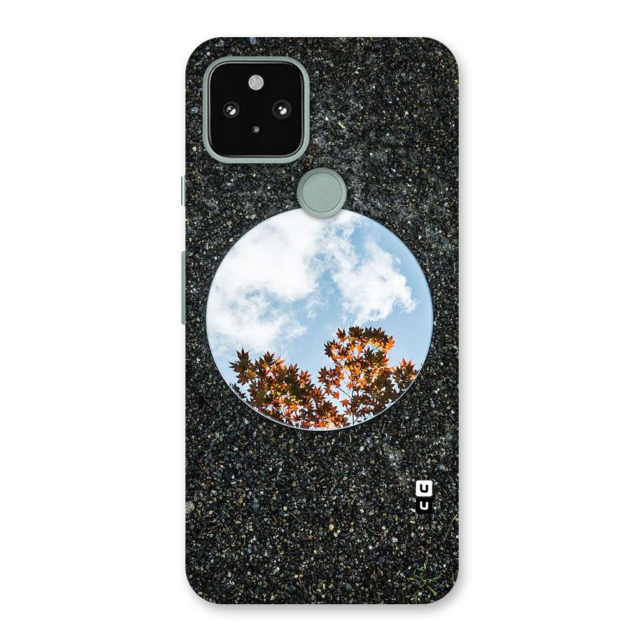 Beautiful Sky Leaves Back Case for Google Pixel 5